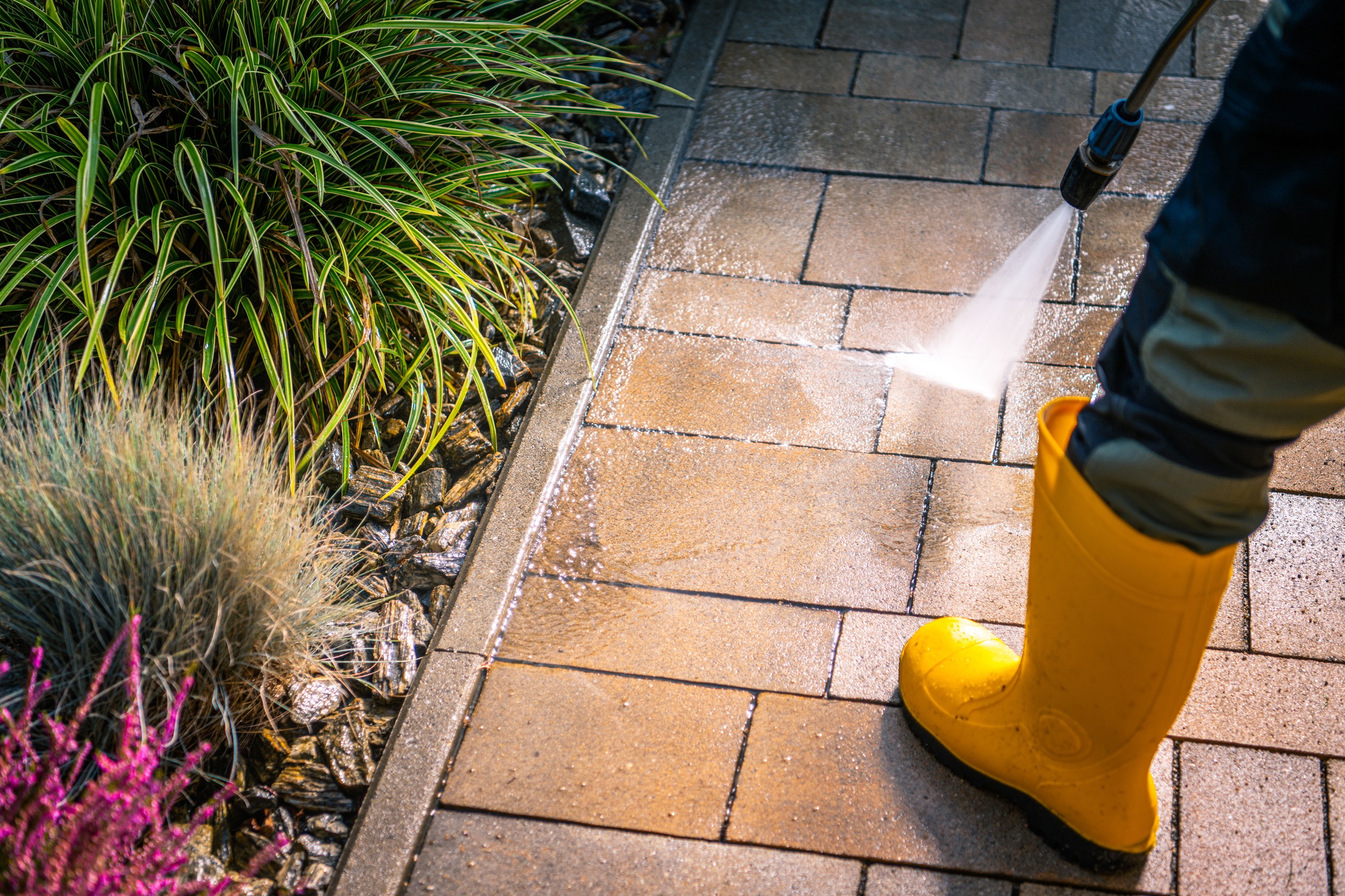 Cleaning Outdoor Paving With a Pressure Washer in the Afternoon Sunlight Near Vibrant Plants
