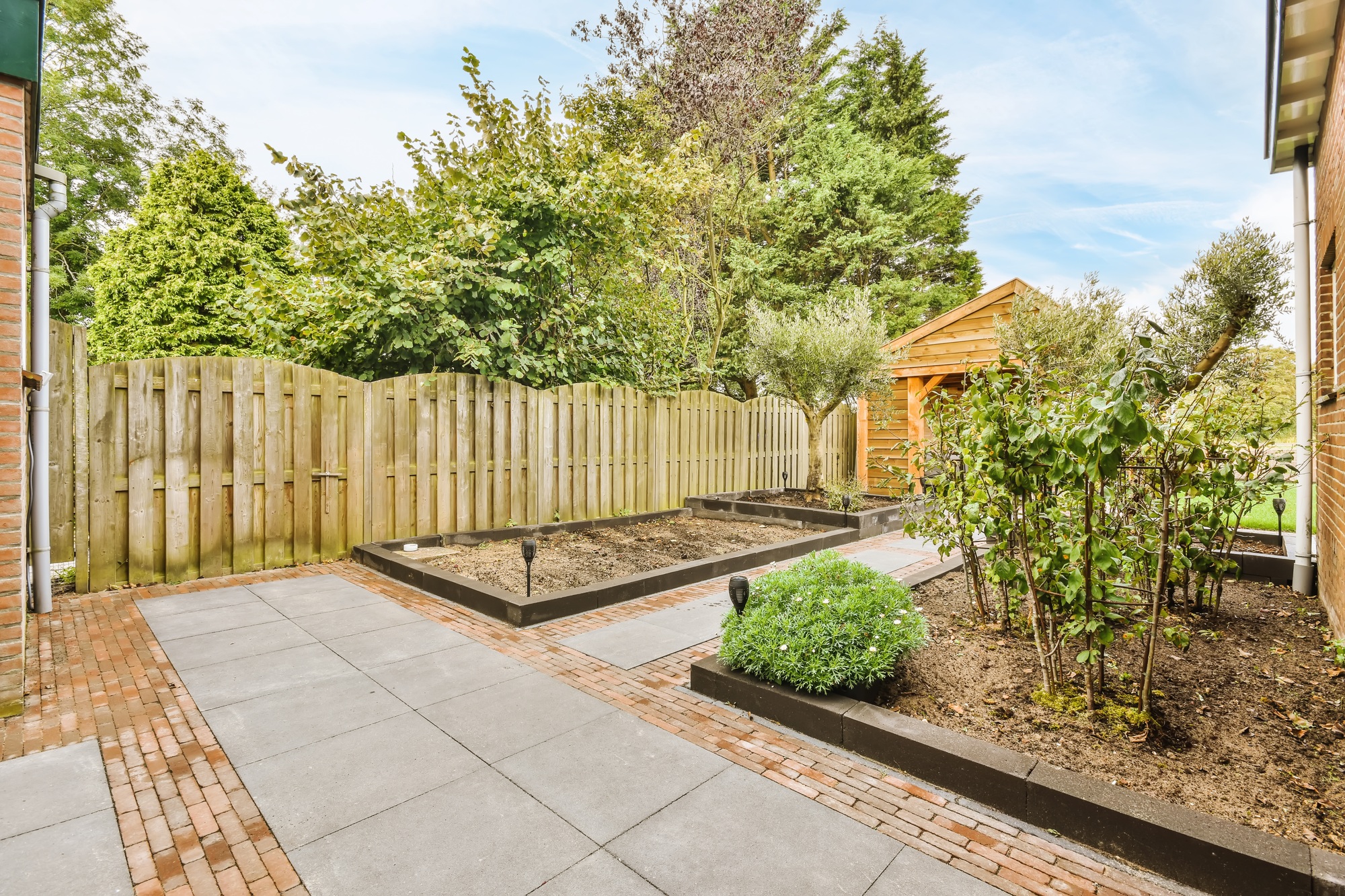 The backyard of the house